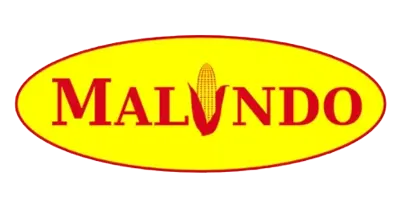 Logo 9